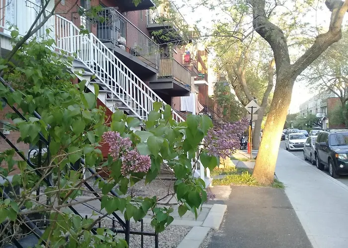 Cabin Rentals in Montreal