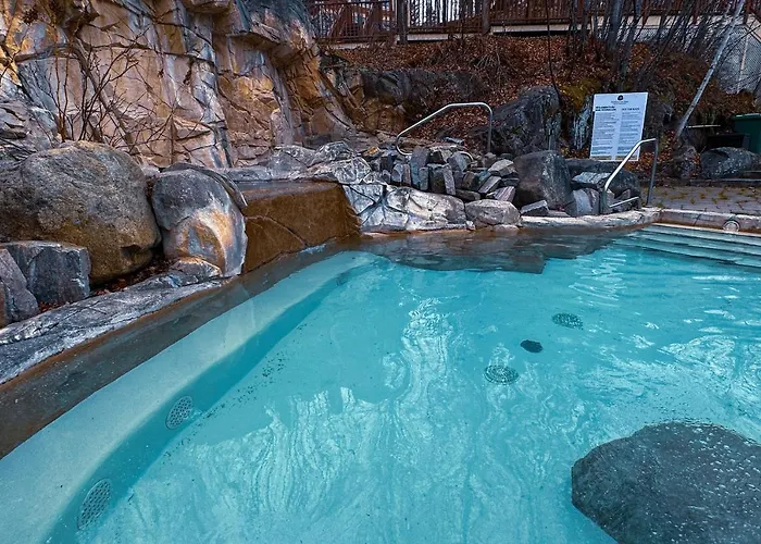 Pet friendly Tremblant-Les-Eaux Le Contemporain By Gestion Elite Apartment Mont-Tremblant