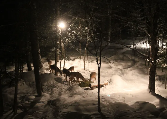 La Petite Douceur Bed & Breakfast Lac Superieur