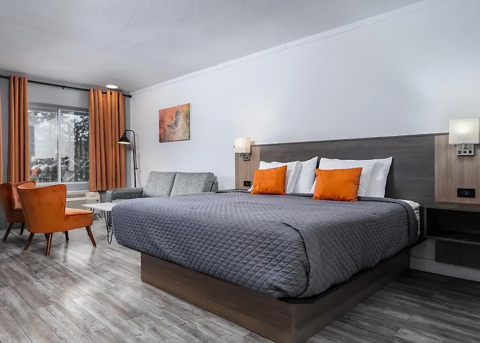 Complexe Dix80 Motel Mont-Laurier