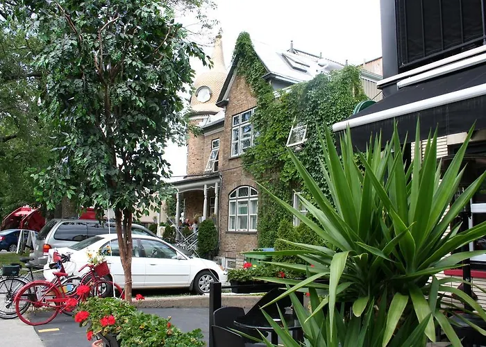 Pet friendly Auberge Amerik Quebec City